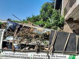 Best Dumpster Rental Services  in Mount Olive, AL